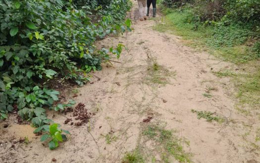 Kribi Cameroon Opportunity to go with us in the investment.