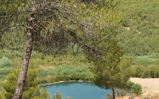 The Soul Hotel in Spain